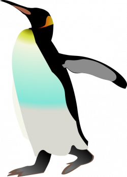 Penguin | Free Stock Photo | Illustration of an Emperor penguin ...