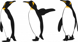 Clipart Three King Penguins - Clip Art Library