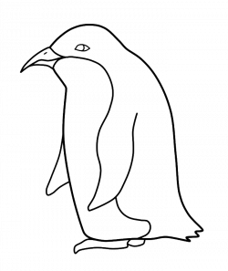 Penguin Drawing Step By Step at GetDrawings.com | Free for personal ...