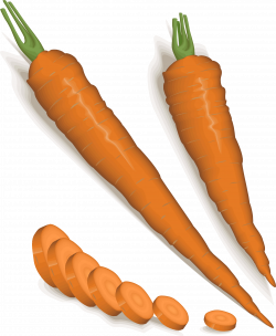 Clipart - carrots