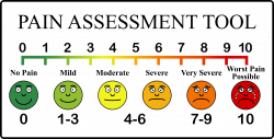 Clipart - Pain Scale fixed