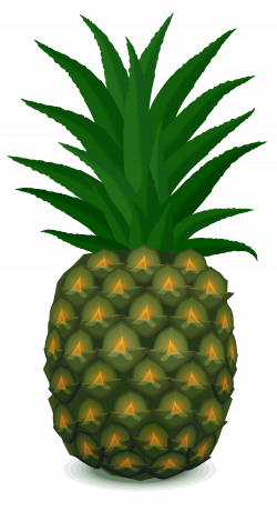 File:Pineapple.svg - Wikimedia Commons