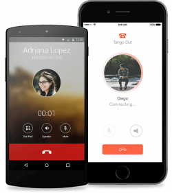 App to Phone Calls | Phone Call API | Sinch
