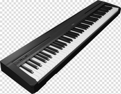 Yamaha P-115 Digital piano Keyboard Action, piano ...