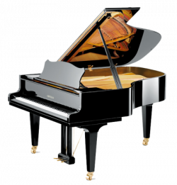 Download PIANO Free PNG transparent image and clipart