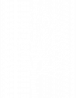 Winter Tree Silhouette Transparent PNG Clip Art Image | Gallery ...