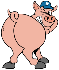 Get Your Pig Audit - Strunk Media Group