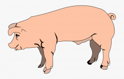 Pig Clipart - Image - Clipart Pig With Transparent ...