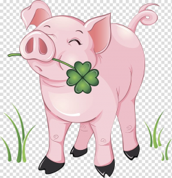 Domestic pig , pig transparent background PNG clipart ...
