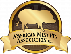 American Mini Pig Association 1st Year in Review -