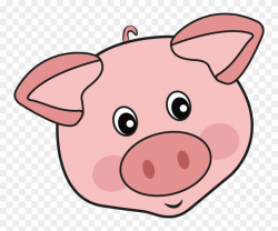 Mini Teacup Pigs For Sale Adoption Squeals - Мордочка Свинки ...