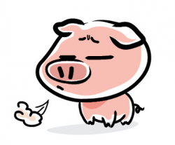 Why Is My Mini Pig Coughing & What Should I Do? - Mini Pig Info
