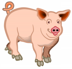 Clipart - pig - coloured