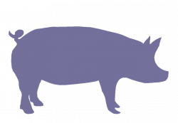 Pink Pig Silhouette at GetDrawings.com | Free for personal use Pink ...