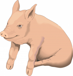 Pig PNG Picture | Web Icons PNG