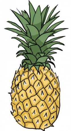 how to draw a pineapple - Google Search | PiNeApPlE in 2019 ...