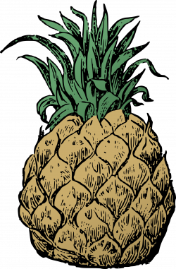 Clipart - Basic Pineapple