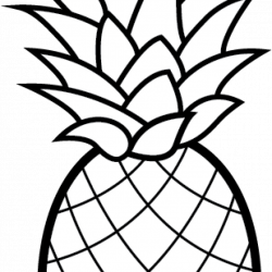 Pineapple Clipart camping clipart hatenylo.com