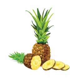 Pineapple Illustration Vector, Pineapple Vector, Pineapple ...