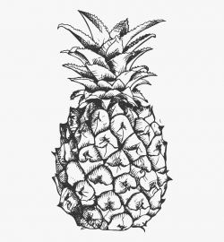 Pineapple Clipart Fancy - Pineapple Crown, Cliparts ...
