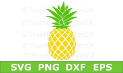 Pineapple SVG / Pineapple Silhouette / Pineapple Clipart ...