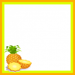 mq orange ananas pineapple fruit frame frames border...