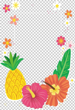 Tropical Colored Flower Decorative Frame PNG, Clipart, Clip ...