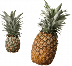 Pineapple Duo transparent PNG - StickPNG