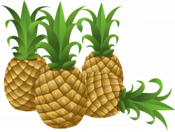22 Amazing Health Benefits of Pineapple | Tropical plants