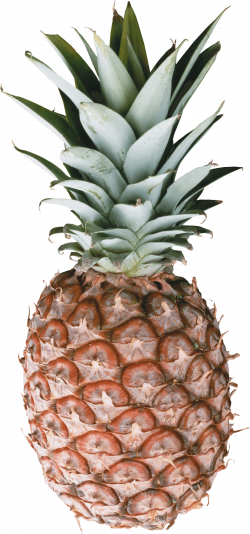 Pineapple transparent PNG - StickPNG