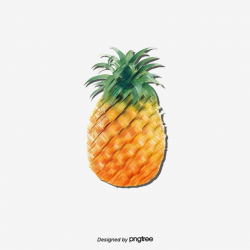 Fine Oil Painting Pineapple Elemental Background, Realism ...