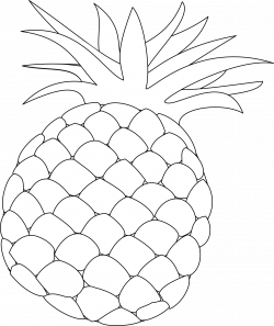 Outline drawing of a pineapple fruit free image