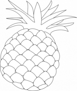 Free Pineapple Cliparts, Download Free Clip Art, Free Clip ...