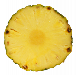 Pineapple Slice PNG Image - PurePNG | Free transparent CC0 PNG Image ...
