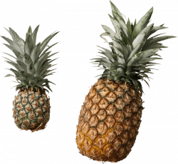 pineapple png - Free PNG Images | TOPpng
