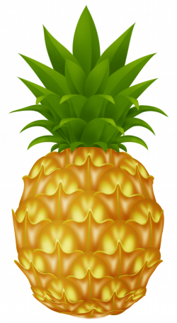 Pineapple Clipart – Free Clipart Images