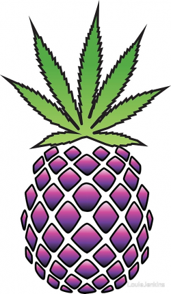 Pineapple - Granddaddy Purple Colours