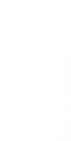 Pineapple-silhouette by paperlightbox on DeviantArt