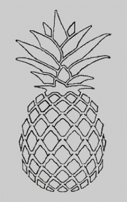 pineapple drawing - Google Search | art. | Pineapple drawing ...
