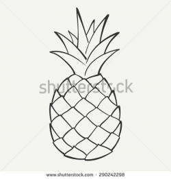 Outline black and white image of a pineapple. Vector ...