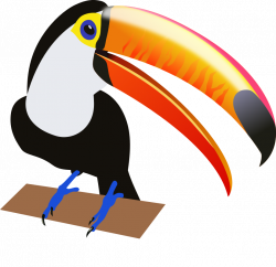 Bird Toucan Clip art - Toucan Cliparts 826*800 transprent Png Free ...