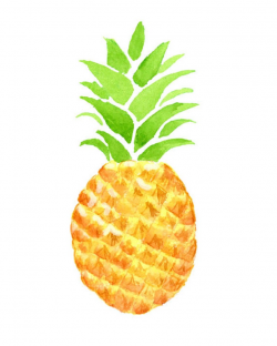 Watercolor Pineapple Clipart, Tropical, Summer, Fruit, Exotic,  Illustration, Scrap-booking