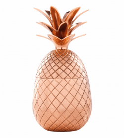 Copper Pineapple Tumbler - Absolut Elyx Pineapple Free PNG ...