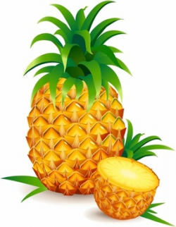 Pineapple free vector download (150 Free vector) for ...