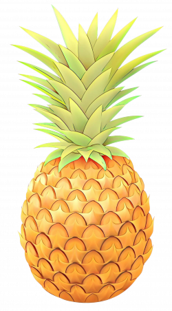 Portable Network Graphics Clip art Pineapple Vector graphics ...