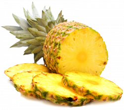 Pineapple | Watercolor Fruit | Pinterest | Watercolor fruit and ...