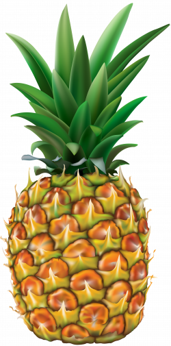 Pineapple Transparent PNG Clip Art Image | Gallery Yopriceville ...