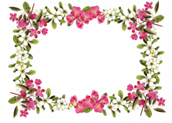 5 2 Flowers Borders Png Clipart