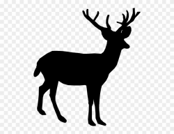 Jpg Freeuse Whitetail Deer Clip Art - Deer Clipart - Png ...