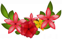 Exotic Floral Decoration PNG Clipart Image | Gallery Yopriceville ...